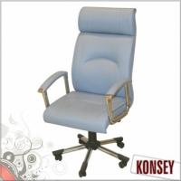 Müdür Koltuk Konsey